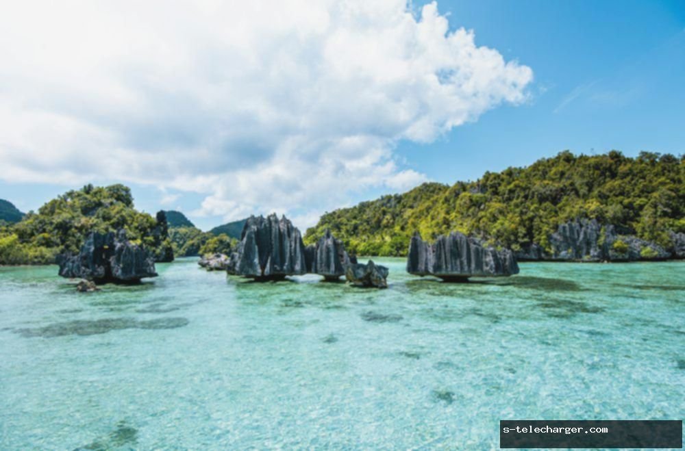 Polri Selidiki Kasus Tambang Nikel di Raja Ampat Usai 4 IUP Dicabut