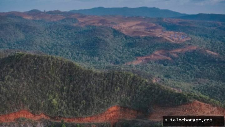 Raja Ampat Gempar! 4 Perusahaan Tambang Terancam Pidana?