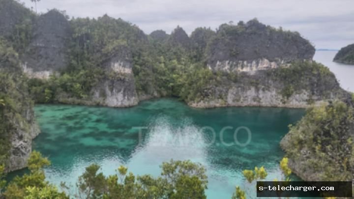Geger Raja Ampat: Izin Tambang PT Gag Nikel Didemo, Dicabut?
